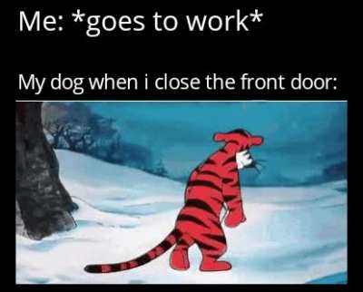 *sad dog noises*
