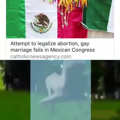Nice try