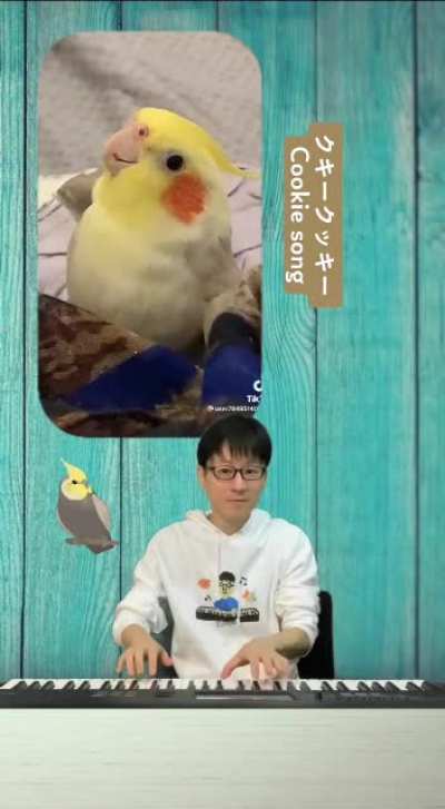 CookieBirb
