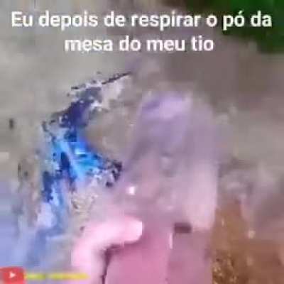 🐤
