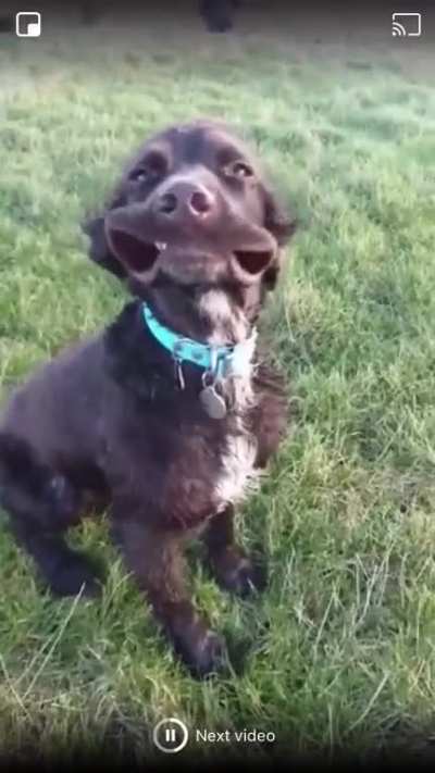 Windy in the UK today