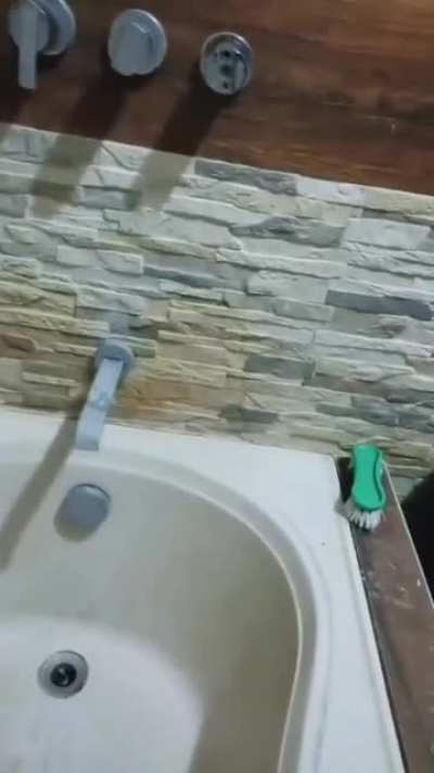 Aaaa