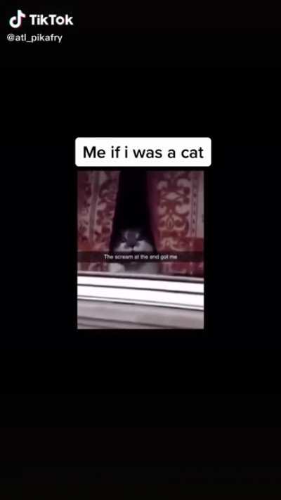 Right back at ya buckyaroo