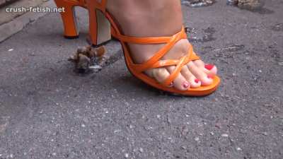 Crush snails