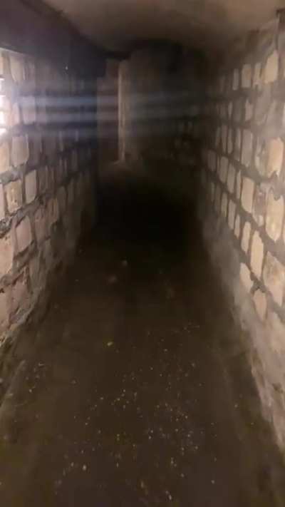 My dad spooking out my wife in the catacombs of Paris (unedited)