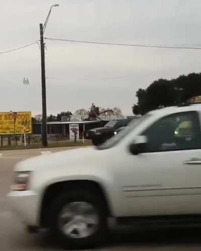 IS THAT A MAN RIDING A SHRIMP!?