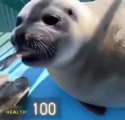 :D
