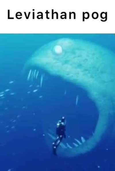 Okay, this is awesome