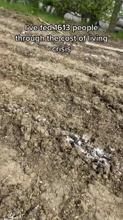 Woman who had been posting videos of feeding people who are struggling had her land salted by someone