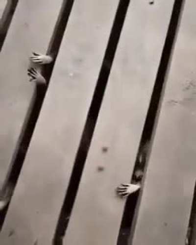 Cursed_hands