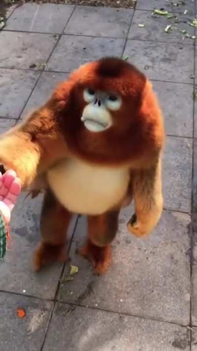 Ru