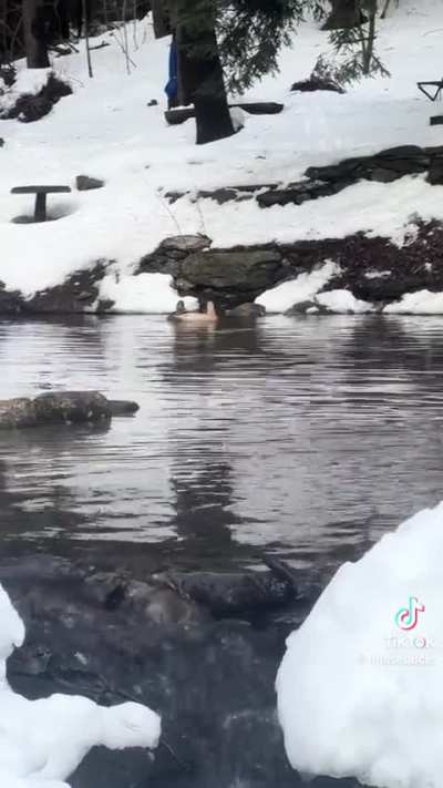 Snow Waddles