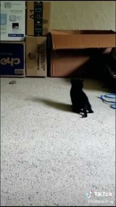 Incoming !
