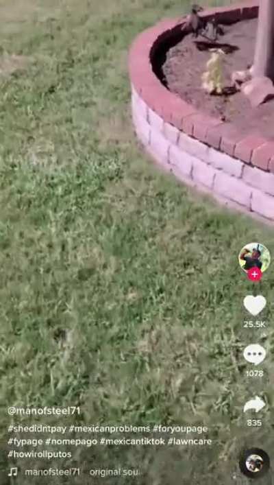 Owner does not want to pay her worker for his hard work.