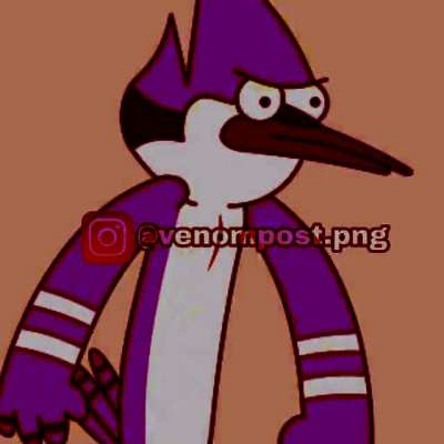 Mapache chupalo