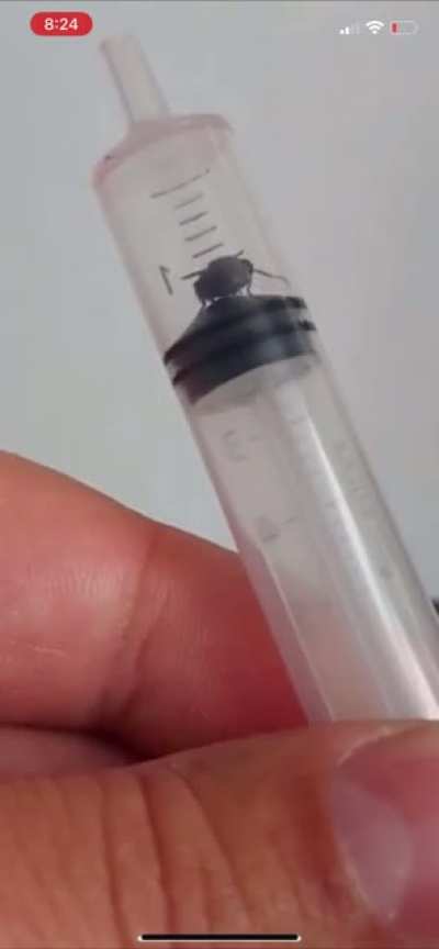 Be sure it’s the proper dosage.