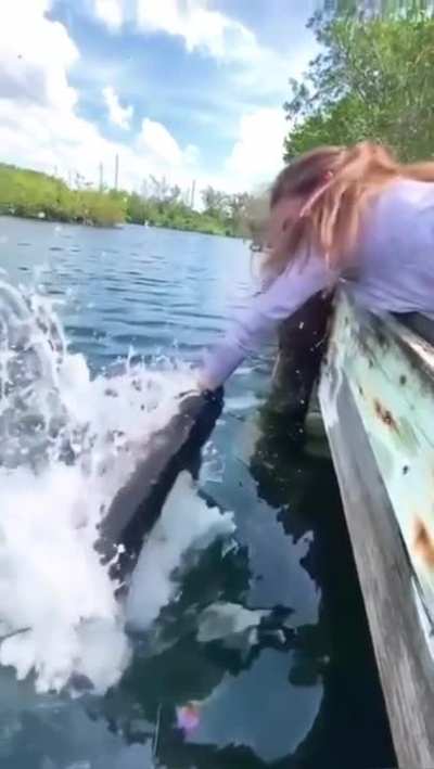 tutorial to catch a fish