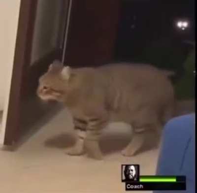 D E A T H