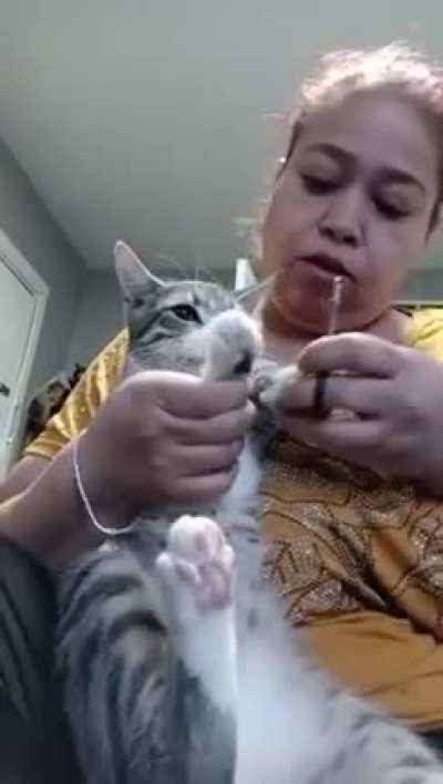I know how to hiss just like you