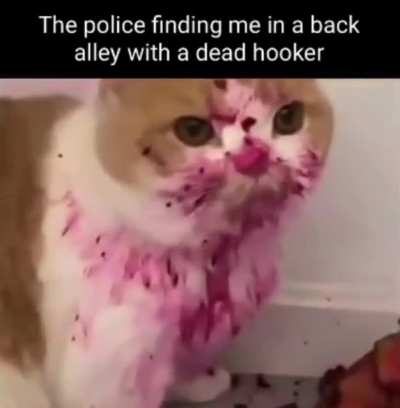 you'll never catch me alive!