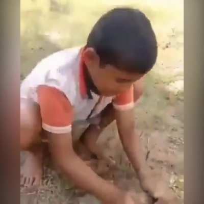 Be careful while cracking nuts.