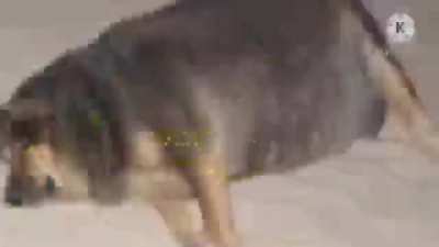 PATRINK ALLAH SEX FULL MOVIE??? 😳😳😳😳 ANTI HARAM PROPOGANDA SPONG MANM ICE CLONE 🤯🤯🤯🤯🤯<wbr>🤯🤯🤯😳😳<wbr>😳