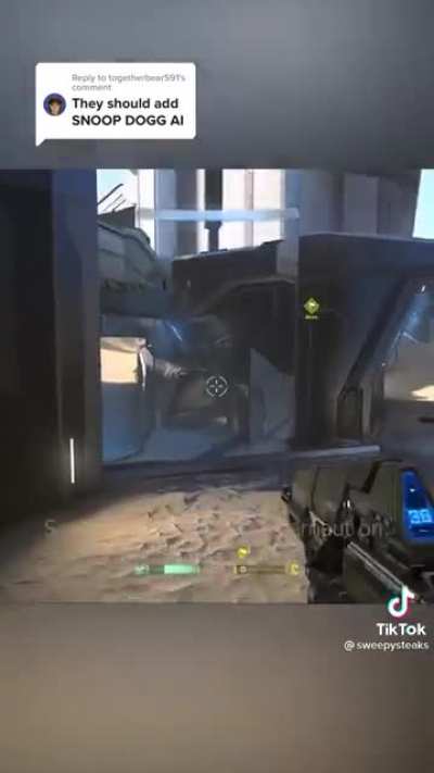 What if Halo had a Snoop Dog AI?