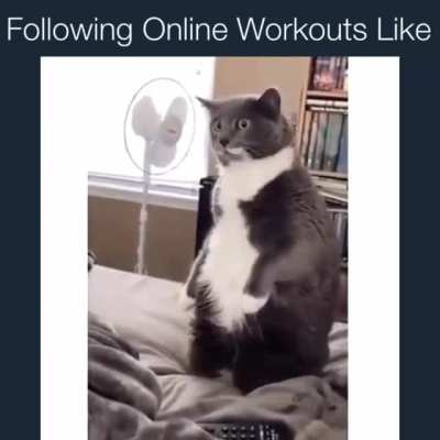 You Can Do It