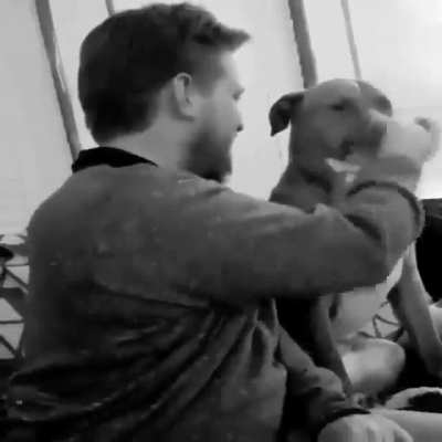 To boop