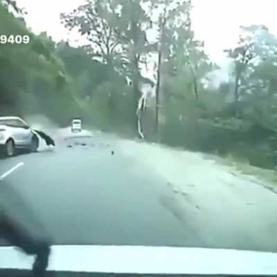 Nature doesn't care where we build our roads