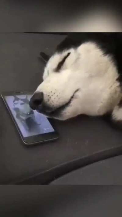 Сон не помеха