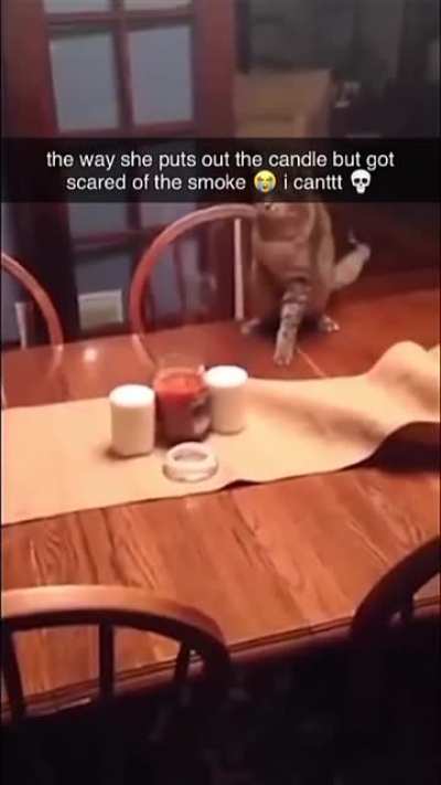 Down in smoke