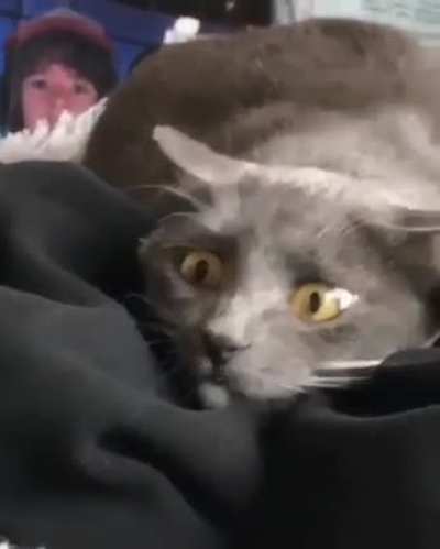 Target locked