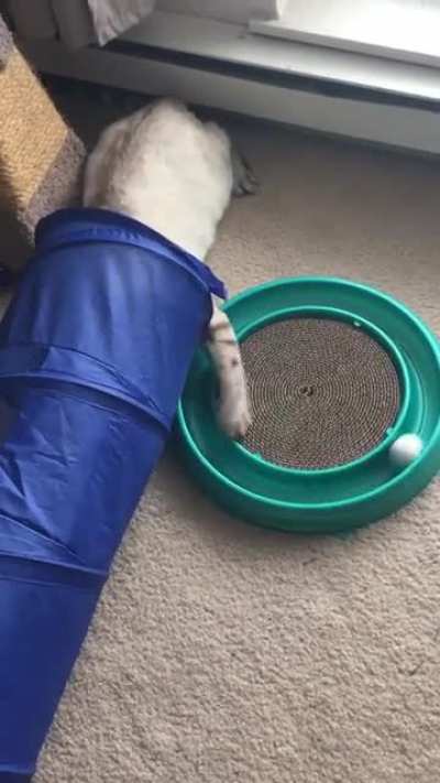 He does this all the time