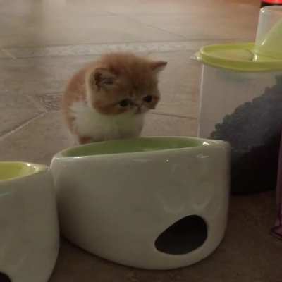 *water drinking noises*