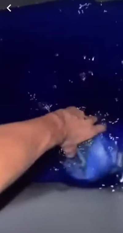 …