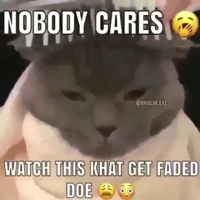 Watch this cat get faded doe