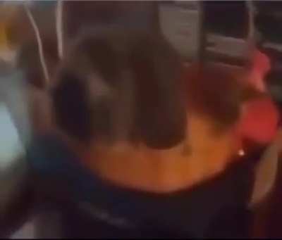I love cats 