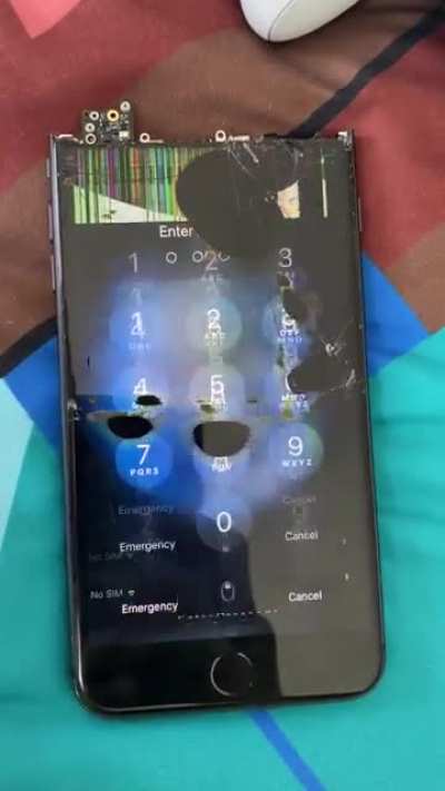 8 plus