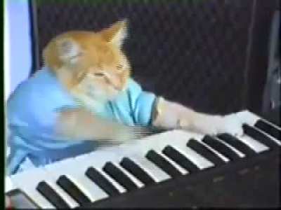 🎹