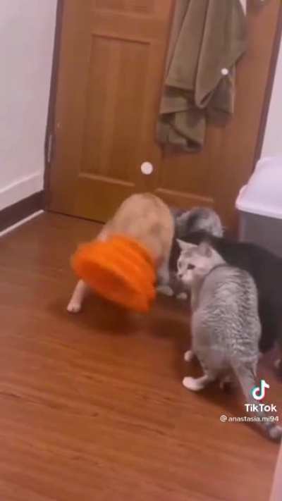 Two fatalities