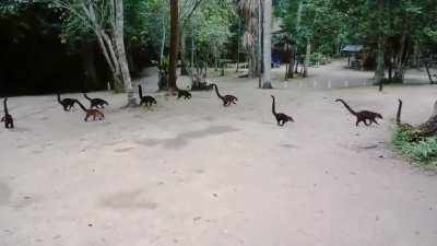 Bem-vindo ao Jurassic Park.