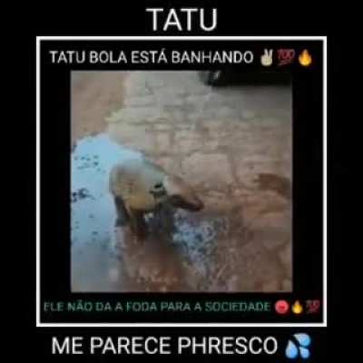 Humm Tatuzin bom