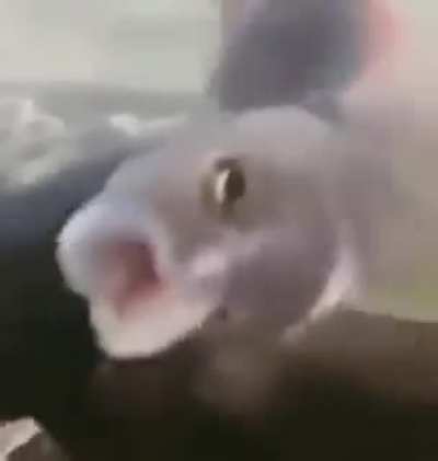 Hmmm