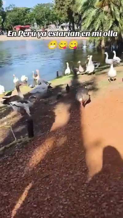 Peruana se sorprende de los 