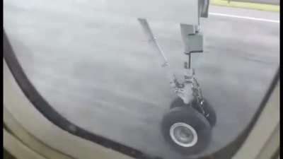 Random-@$$ Deer gets absolutely obliterated by landing gear of a plane.
