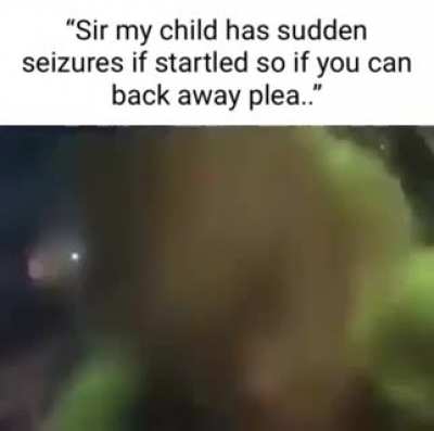 The Grinch