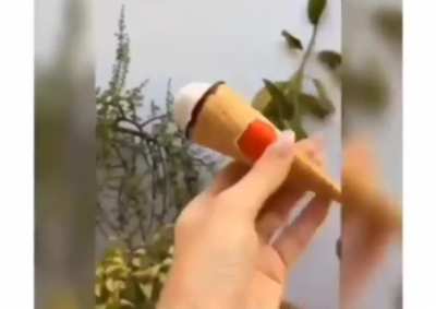 You want to eat icecream? 