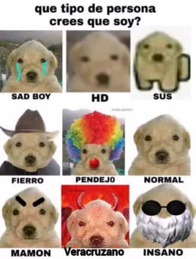Que tipo sosp?