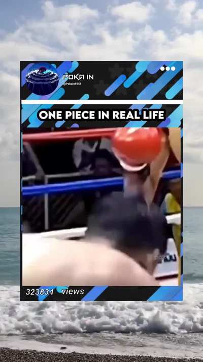 One piece fr